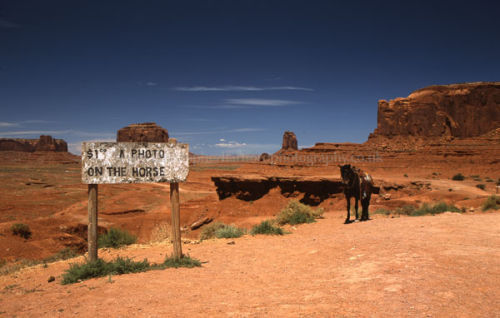 Lonely Horse